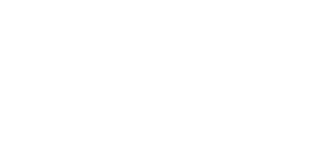 Courtney Plans Travels