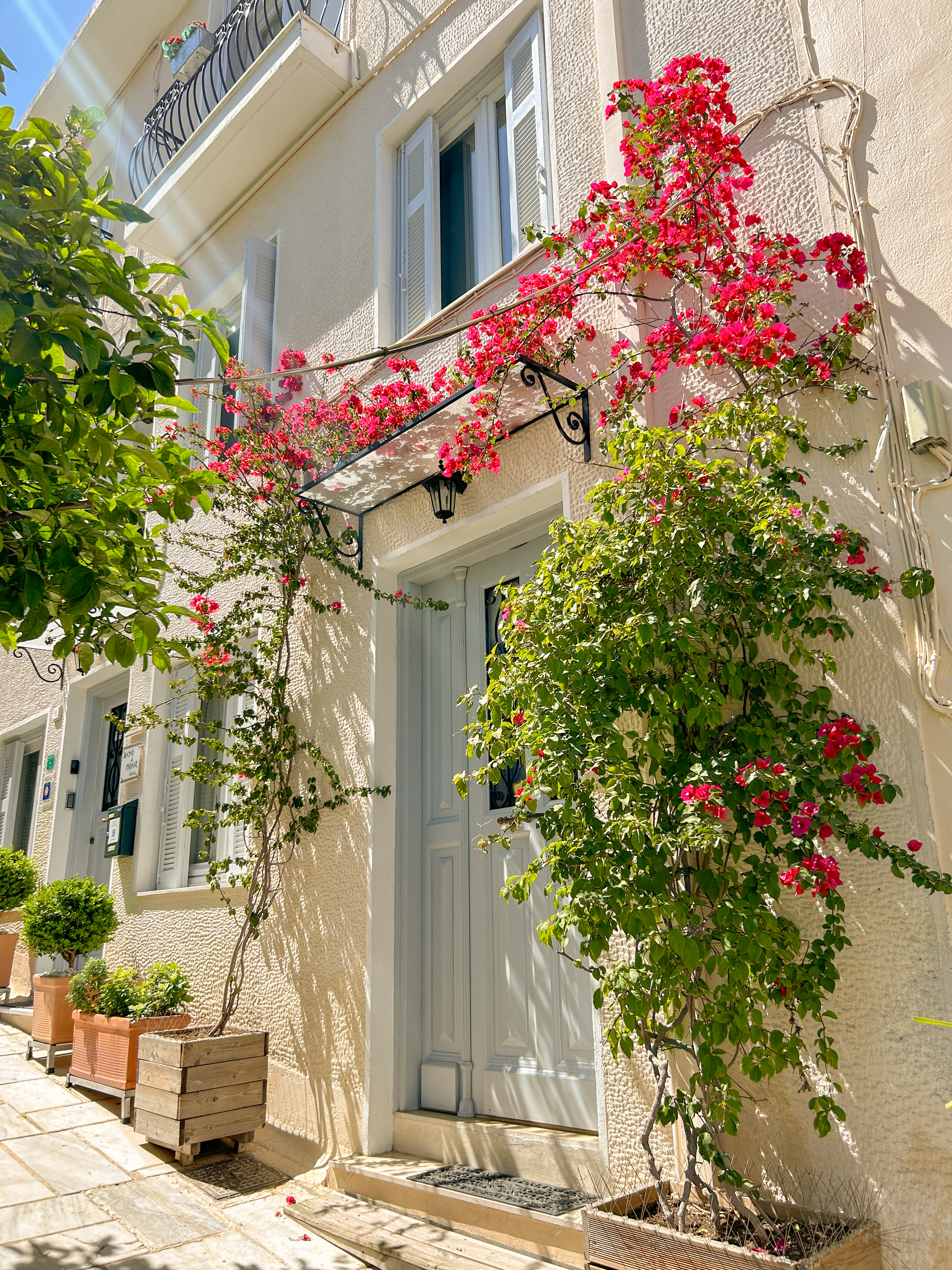 White house on a street with pink flowers and greenery draping over the door.
